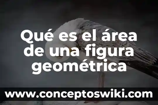 Que es forma y figura 6 Qué es el área de una figura geométrica