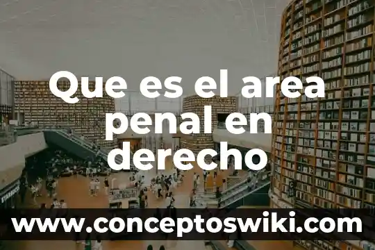 Que es duplo en derecho 5 Que es el area penal en derecho