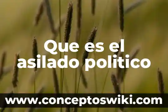 Que es el feudalismo el aspecto politico 3 Que es el asilado politico