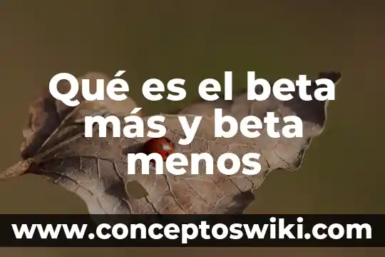 Qué es más viejo crepúsculo o heri pother 4 Qué es el beta más y beta menos