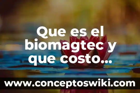 Que es oxidacion y reduccion que tiene la vida cotidiana 4 Que es el biomagtec y que costo tiene