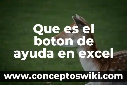 Que es el boton c 6 Que es el boton de ayuda en excel