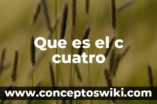 Que es desarrollo c 7 Que es el c cuatro