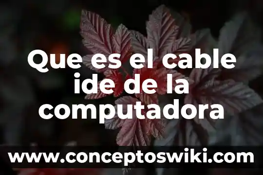 Por que es importante que una computadora tenga un regulador 4 Que es el cable ide de la computadora