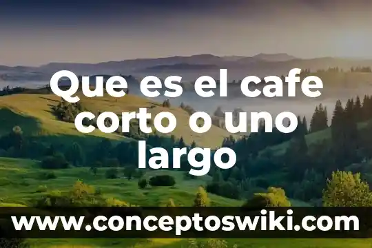 44 Que es una topología de red 4 Que es el cafe corto o uno largo