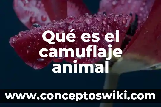 Que es un objeto animal 8 Qué es el camuflaje animal