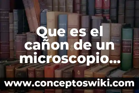Que es el modo de medicion en una camara canon 3 Que es el cañon de un microscopio electronico de trnasmision