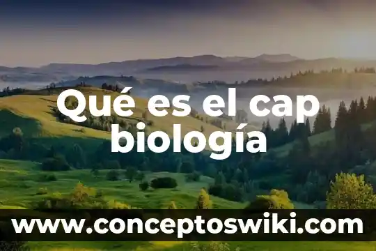 Qué es un compuesto en biología 7 Qué es el cap biología