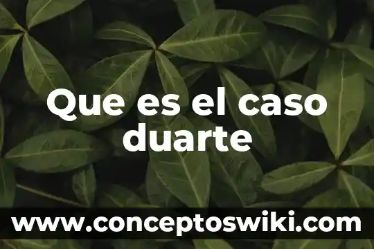 Que es caso de flotacion en fisica 3 Que es el caso duarte