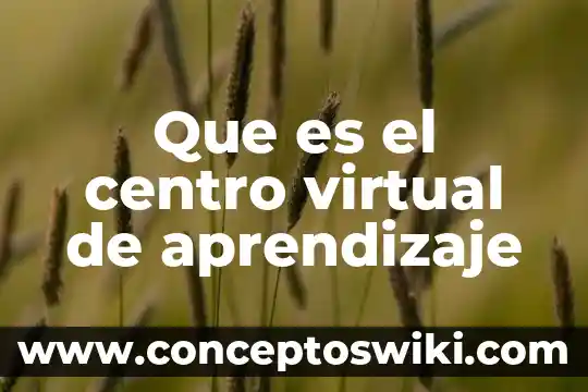 Que es y para que sirve una biblioteca virtual 5 Que es el centro virtual de aprendizaje