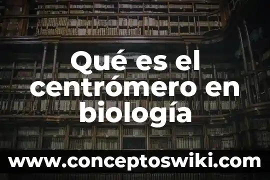 Qué es la bomba sodio potasio en biología 4 Qué es el centrómero en biología