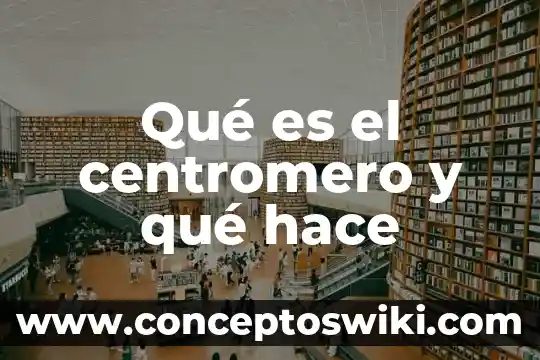 Que es el valor de la ingusticia 4 Qué es el centromero y qué hace