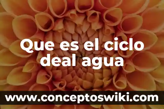Proceso del ciclo de vida que es diseño del servicio 7 Que es el ciclo deal agua