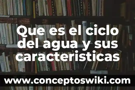 Que es el mapa semantico y sus caracteristicas 8 Que es el ciclo del agua y sus caracteristicas