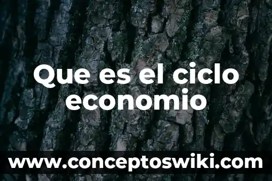Que es el ciclo deal agua 5 Que es el ciclo economio