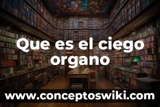 Que es un organo politica 3 Que es el ciego organo