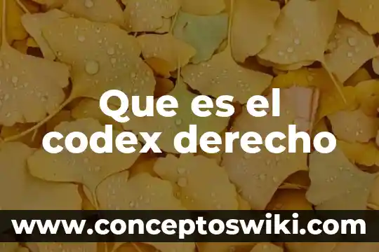 Nada que es mio por derecho de conciencia 7 Que es el codex derecho