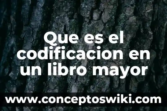 Que es programas tipo libro o cuento audacity 3 Que es el codificacion en un libro mayor