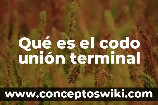 Castor green terminal que es 4 Qué es el codo unión terminal