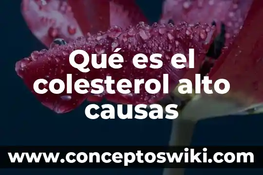 Que es una avalancha causas y consecuencias 7 Qué es el colesterol alto causas