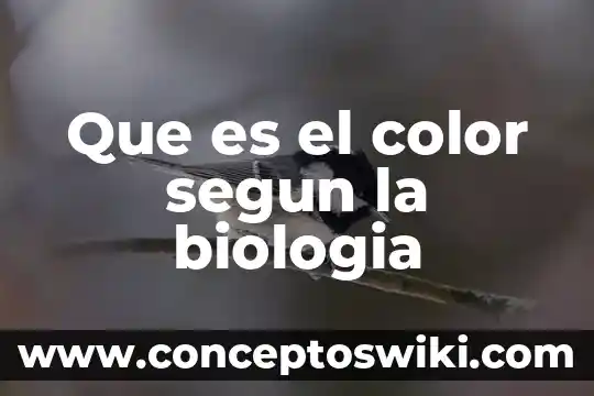 Qué es la hemofilia biología 3 Que es el color segun la biologia