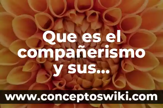 Que es un incremento caracteristicas calculo 5 Que es el compañerismo y sus caracteristicas