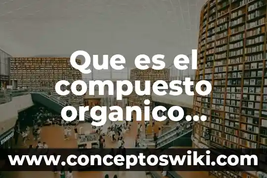 Qué es estética y su importancia como disciplina filosófica 5 Que es el compuesto organico importancia