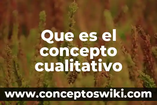 Que es el concepto de rito 3 Que es el concepto cualitativo