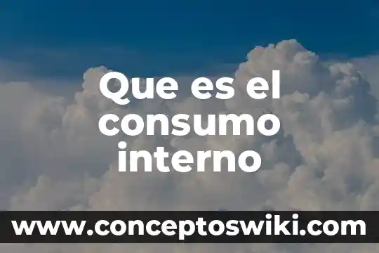 Que es la unidad economica de consumo 3 Que es el consumo interno