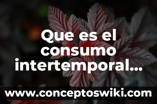 Que es la relevancia del problema del consumo de alcohol 6 Que es el consumo intertemporal economia