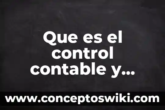 Qué es una empresa sólida 5 Que es el control contable y financiero en empresa farmaceutica