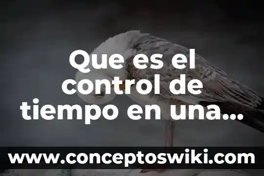 Que es el nombre juridico de una persona fisica 8 Que es el control de tiempo en una persona
