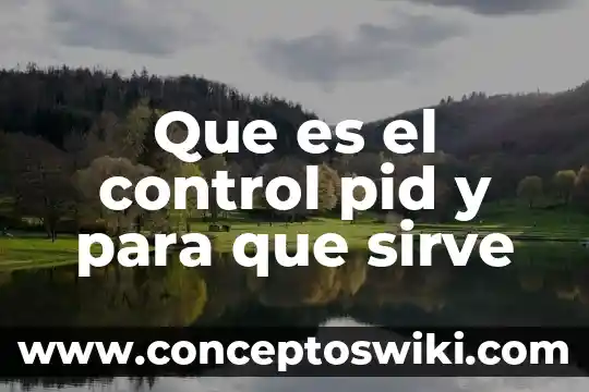 Mecanismos de control metabólico que es 5 Que es el control pid y para que sirve
