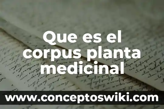 Que es el remolino como planta medicinal 4 Que es el corpus planta medicinal
