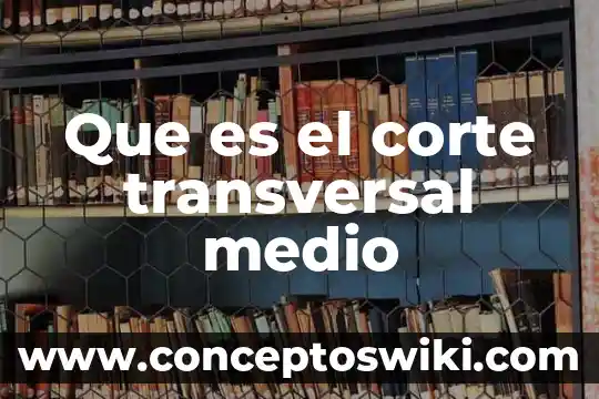 Que es un estudio transversal ejemplo 6 Que es el corte transversal medio