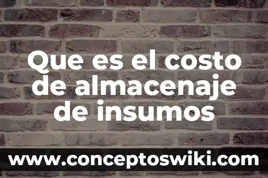 Qué es insumos y servicios 5 Que es el costo de almacenaje de insumos