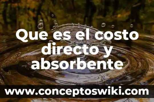 Que es hacer un proceso directo 7 Que es el costo directo y absorbente
