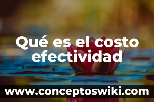 Que es neurodesarrollo concepto 7 Qué es el costo efectividad