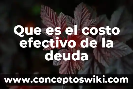 Que es la deuda publica de un pais 8 Que es el costo efectivo de la deuda