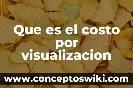 Que es costo activo y ejemplos 3 Que es el costo por visualizacion