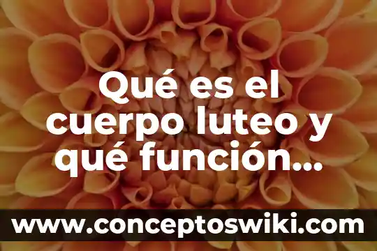 Qué mes cumple una persona que es signo acuario 3 Qué es el cuerpo luteo y qué función cumple