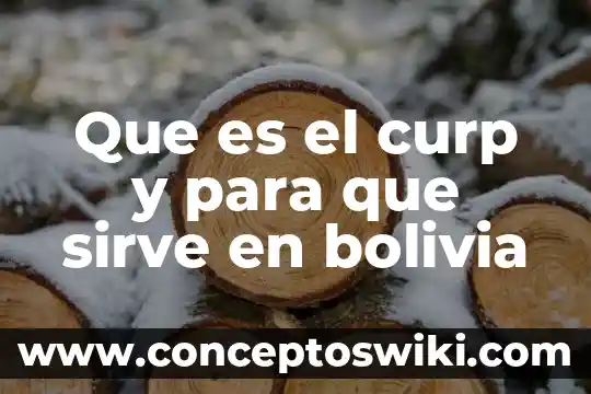Que es el pwm y para que sirve 4 Que es el curp y para que sirve en bolivia