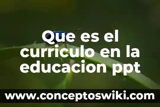 Que es una pulsaciones en educacion fisica 3 Que es el curriculo en la educacion ppt