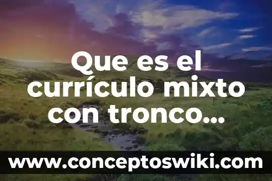 Que es acto de comercio mixto 6 Que es el currículo mixto con tronco común