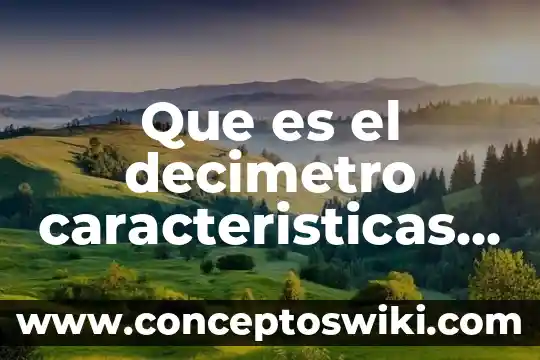 Qué es un líder y características 5 Que es el decimetro caracteristicas y sus aplicaciones