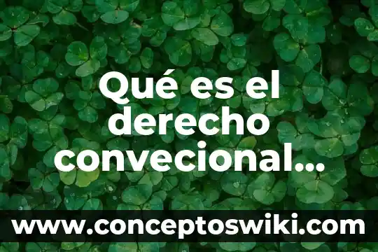 Que es que es derecho publico 7 Qué es el derecho convecional internacional