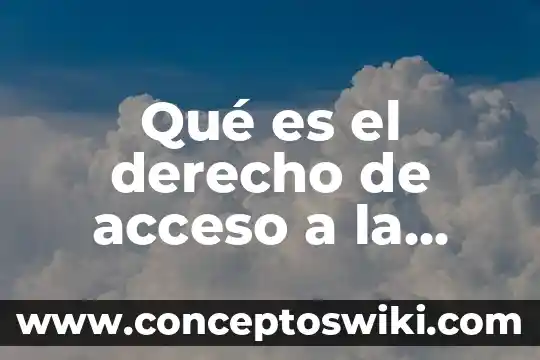 Que es un precedente en derecho 7 Qué es el derecho de acceso a la información