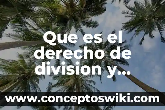 Que es la cesión parcial de derechos 6 Que es el derecho de division y cesion parcial