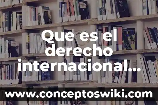 Qué es licencia en derecho constitucional 6 Que es el derecho internacional prezi