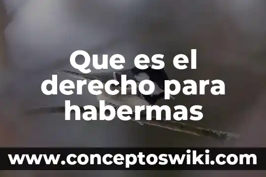 Qué es un seudónimo en derecho 3 Que es el derecho para habermas